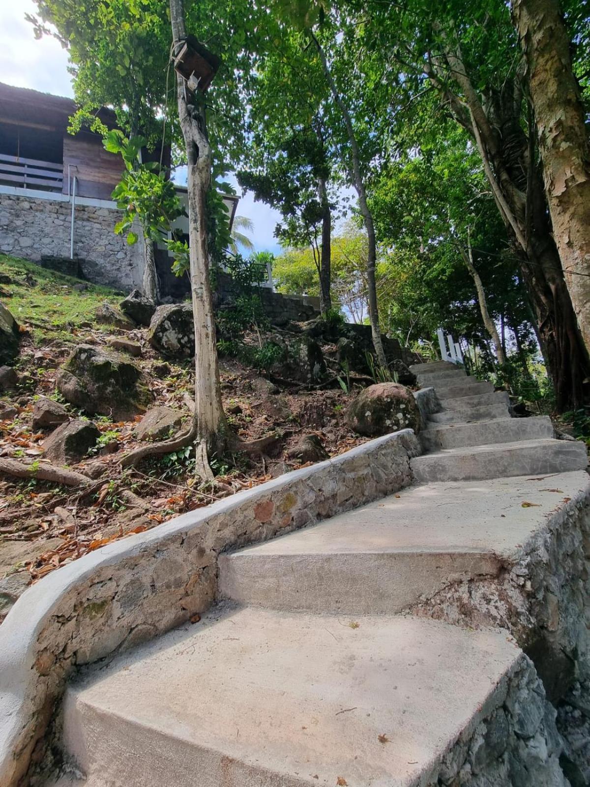 Treetop Guesthouse And Bungalows Sabang (Weh Island) Exterior foto